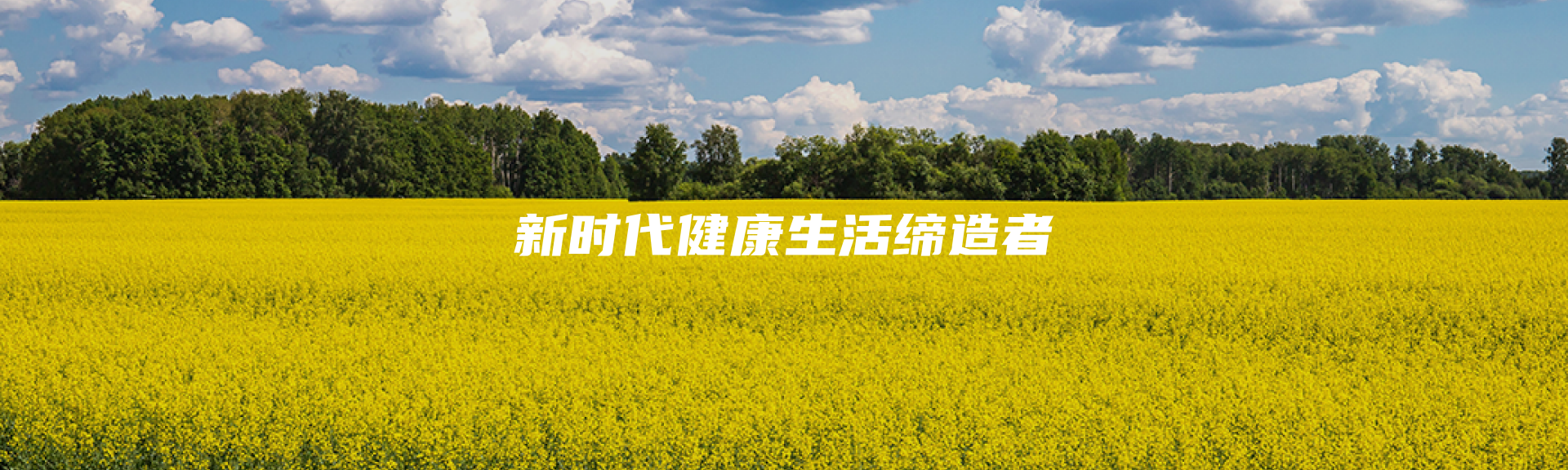 乡亿客-主页背景图